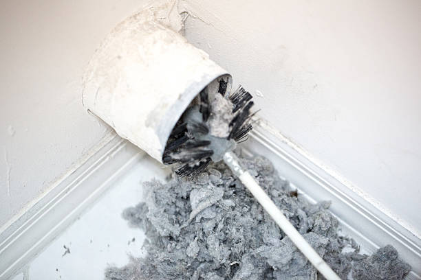 Best HVAC Duct Inspection Services  in Bull Valley, IL